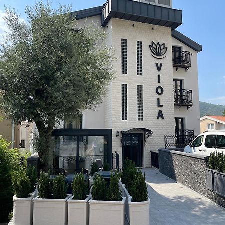 Viola Hotel Budva Exterior photo